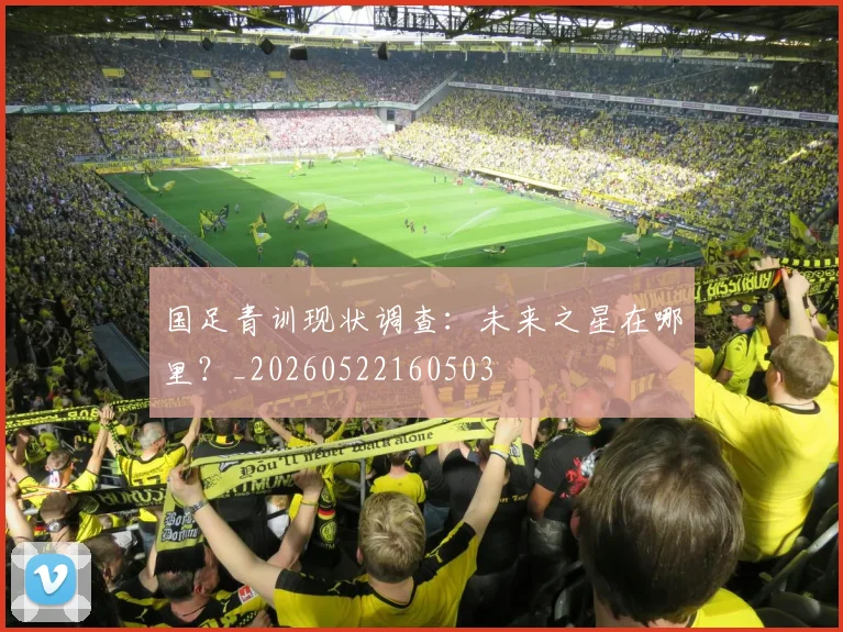 国足青训现状调查：未来之星在哪里？_20260522160503